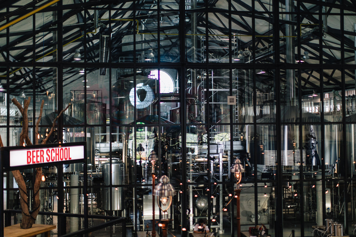 Dogtap Berlin - Image 7