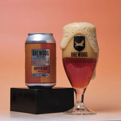 Berlin Pilot #53 Hopfen 1019